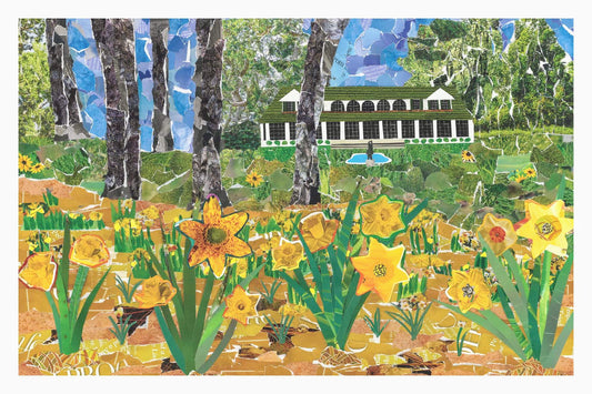Reynolda Gardens, Daffodils, Reynolda House, daffodil art, daffodil collage, spring in Reynolda Gardens