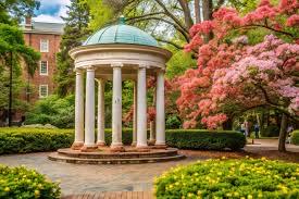 Springtime at the Old Well, Chapel Hill, Old Well, UNC-Chapel Hill, Tarheel gift, UNC-CH gift item, collage print, Carolina print, unc art