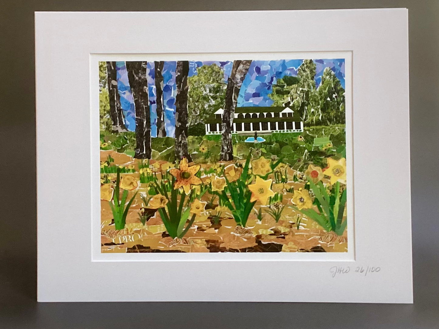 Reynolda Gardens, Daffodils, Reynolda House, daffodil art, daffodil collage, spring in Reynolda Gardens
