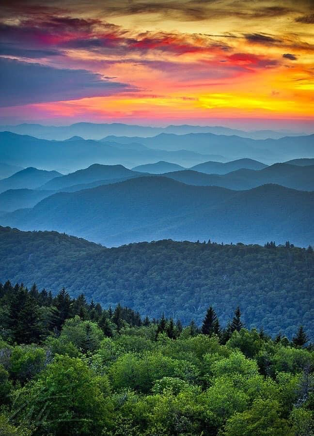 An inspirational photo for my collage. These colors do exist! 