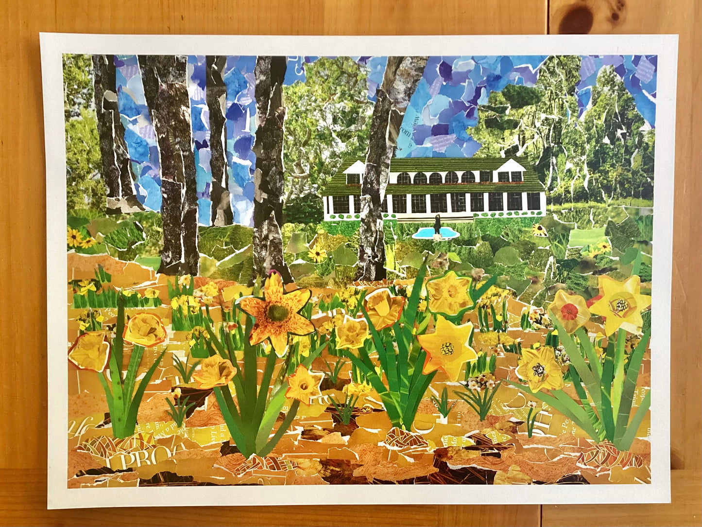 Reynolda Gardens, Daffodils, Reynolda House, daffodil art, daffodil collage, spring in Reynolda Gardens