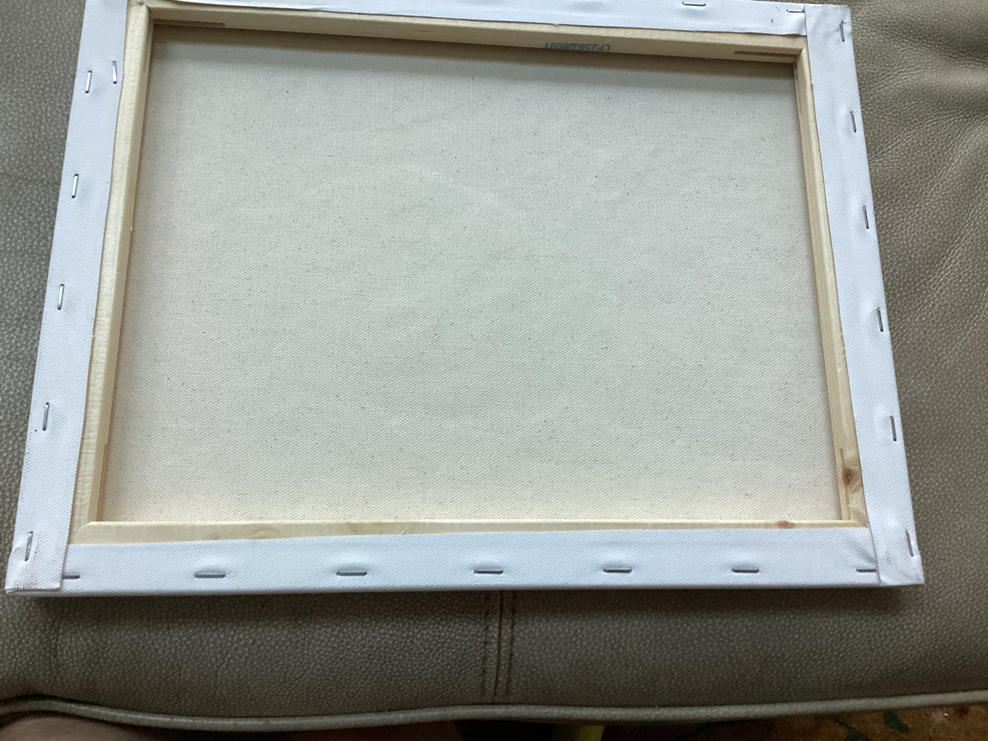 The back of the canvas