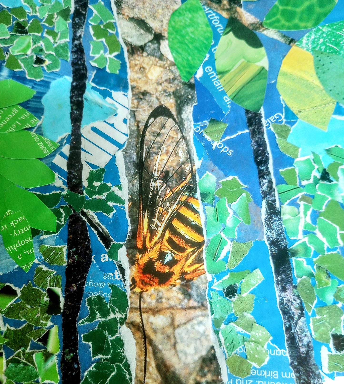 The not so hidden bee